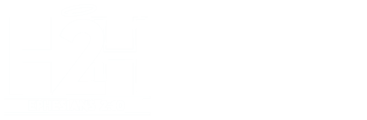 H2H